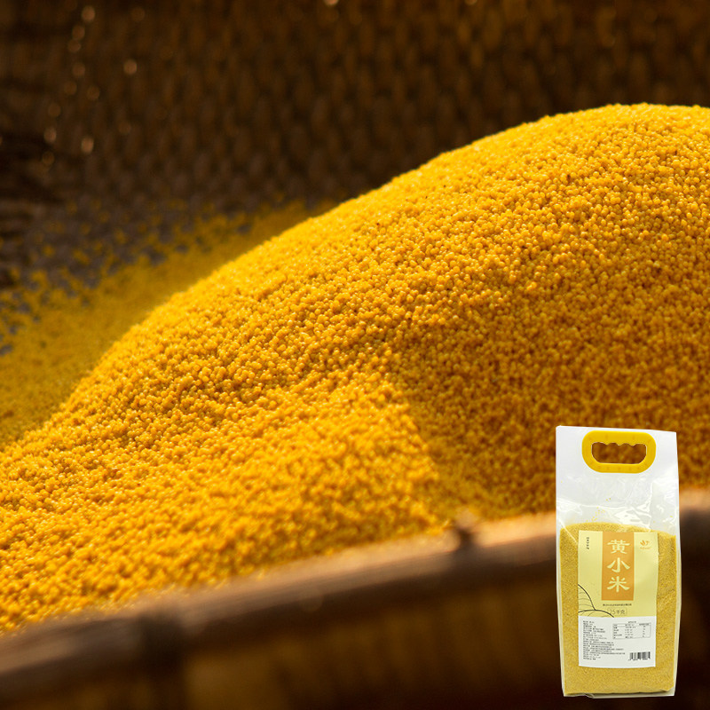Jiugu Garden 2020 New Rice, Yellow Millet, 5 Jin, Shanxi Grain, Small Yellow Rice, Porridge, Yuezi Farmhouse