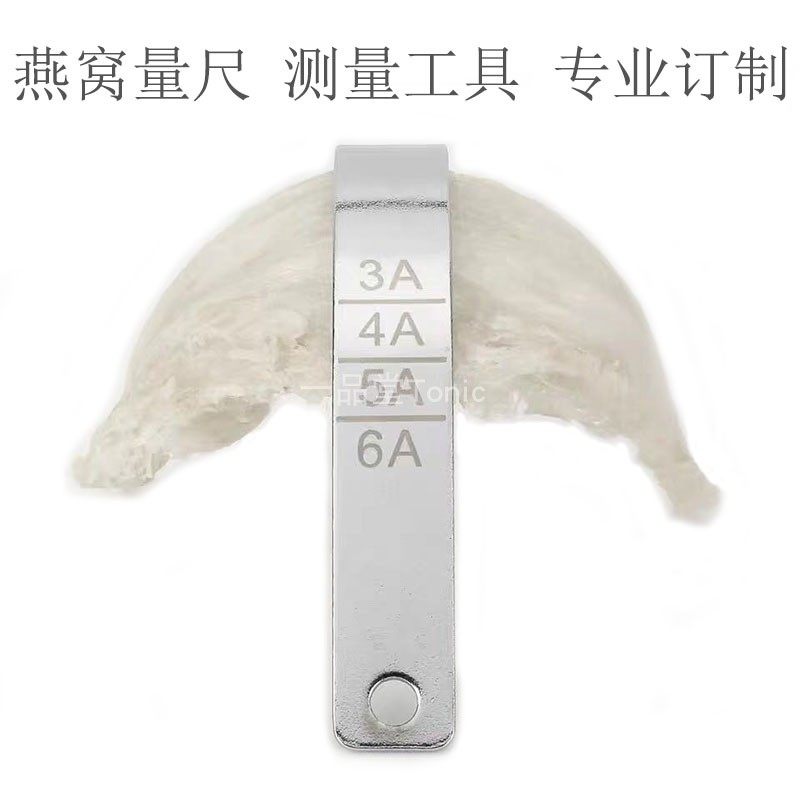 Swallow Size Ruler Mate Professional Ruler Photo Tool Measuring Scale Size Measuring Plant Exclusive