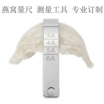 Swallow Size Ruler Mate Professional Ruler Photo Tool Measuring Scale Size Measuring Plant Exclusive