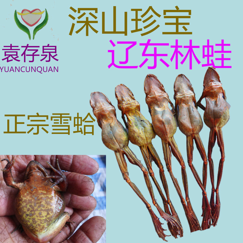 Non-artificial ring to raise Liaodong forest frog dry forest frog oil Snow clams oil Yuan Cunnquante Property Store-Taobao