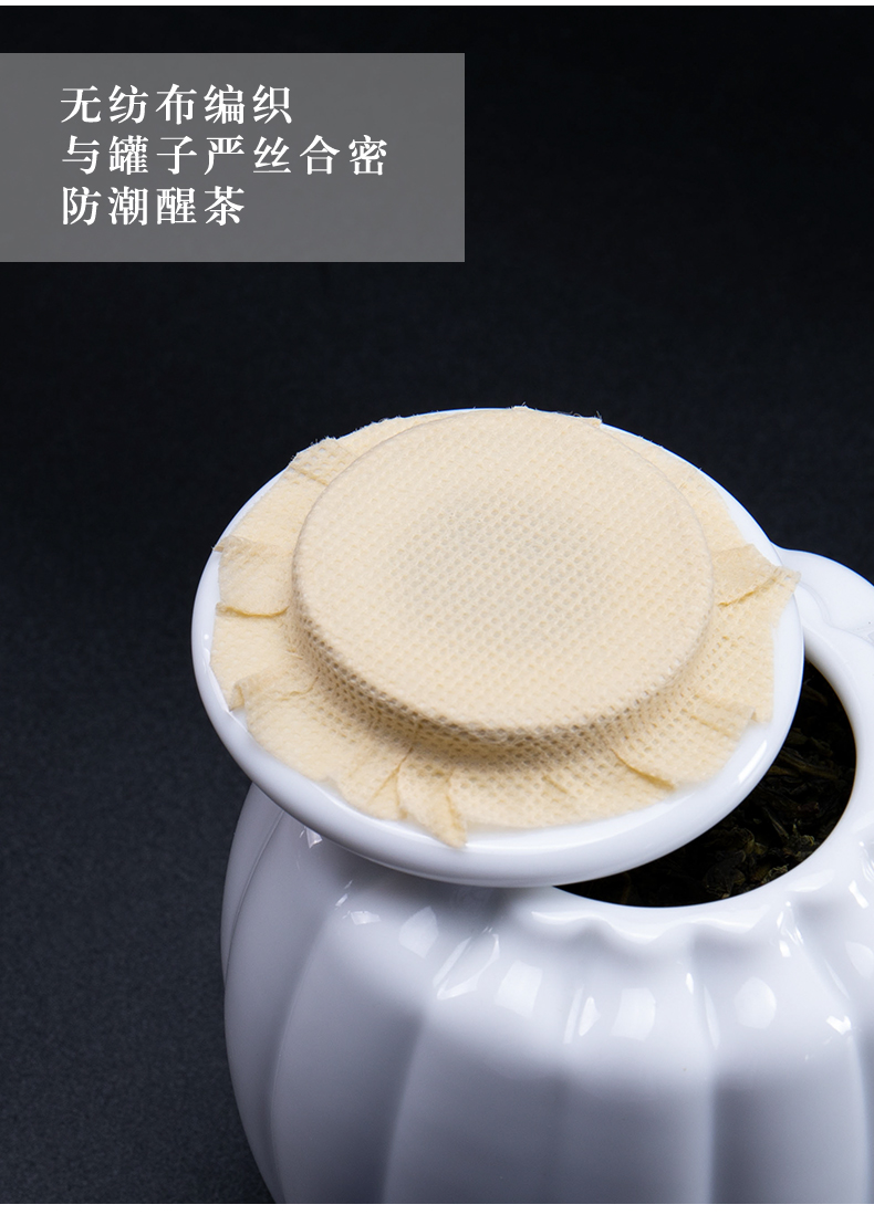 Household ceramic tea pot seal creative move fashion storage tanks, small portable portable tea caddy fixings