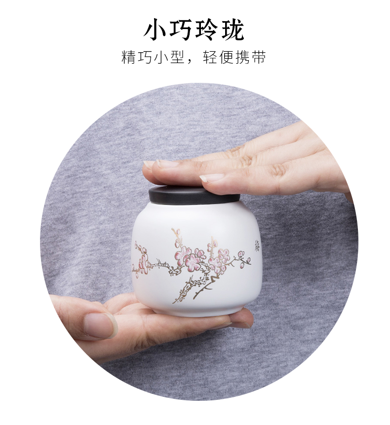 Carry caddy fixings travel portable mini ceramic seal pot moistureproof small store content box of red and green tea pot