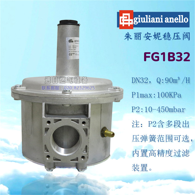 Gas pressure regulator Italy giuliani anelloFG1B32 pressure reducing regulator original import