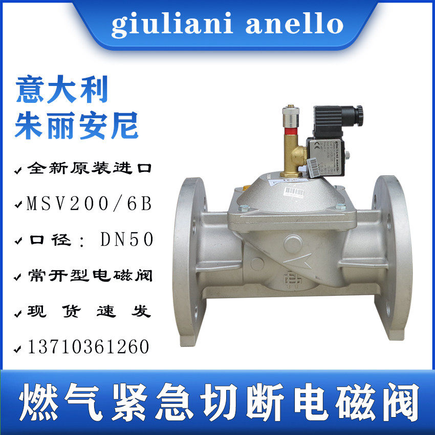 Giuliani Nello, Italy, Giuliani, ONE solenoid valve MSV200 6B gas cut valve