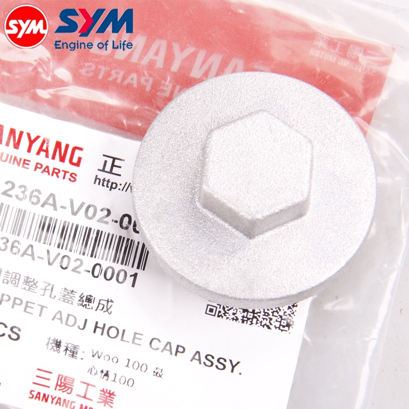 Sanyang Cruise 150 180 300 RX150 Phoenix Hummer S DRG 158 Nine Oil Screw