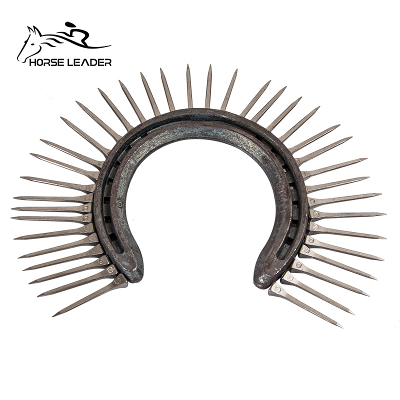 Equestrian appliances Equestrian horseshoe nails horseshoe nails riding horse matching pieces horseshoe nails horseshoe nails