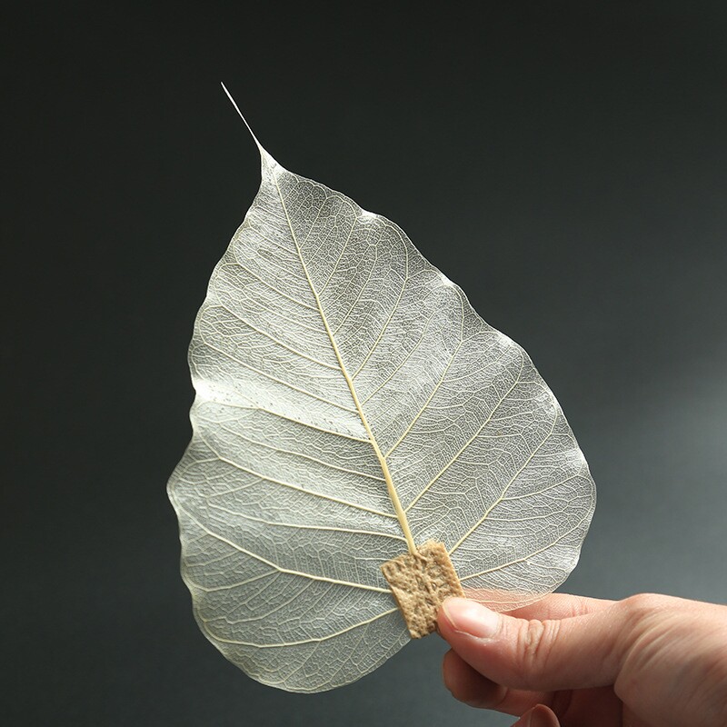 Tea leak filter Tea machine Bodhi leaf filter Gongfu tea fitting filter Tea machine leaves