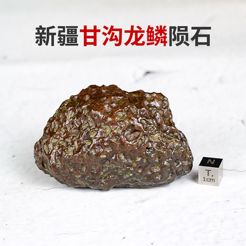 新疆天然甘溝龍鱗隕石原石把件擺件強磁保真宇宙標本正品保真收藏