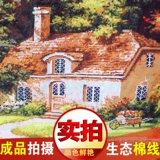 Advanced 2024 Новые молодежи вышивки ручной работы, проходящая вышиваемая вышиваемая стежка