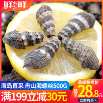Zhoushan fresh sea screw 500g no sand sea snail clam sea melon seed seafood fresh picking