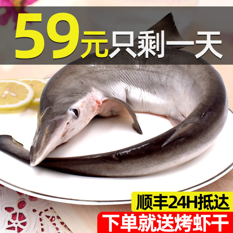 Boat Mountain Fresh Small Shark Deep Marine Fish Non White Shark Fish Fresh Frozen Seafood Aquatic Whole Gift Box Dress