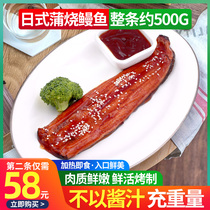 About 500g Japanese-style scorpion fresh ready-to-eat sushi ingredients heated seafood dishes grilled eel