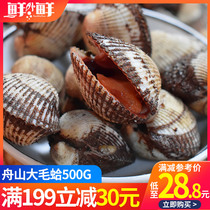 Zhoushan fresh big clam 500g hair clam wool pliers shellfish red shell non-blood clam blood pliers silver pliers seafood fresh aquatic products