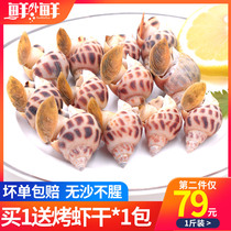 Zhoushan fresh flower snail Dongfeng snail fresh shell snail conch big fragrant snail Seafood shellfish seafood aquatic cat eye snail