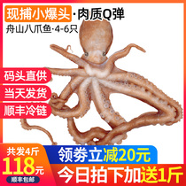Net red long-legged octopus fresh seafood frozen aquatic products Big Head Zhoushan big octopus sea catch long-legged eight catch fish
