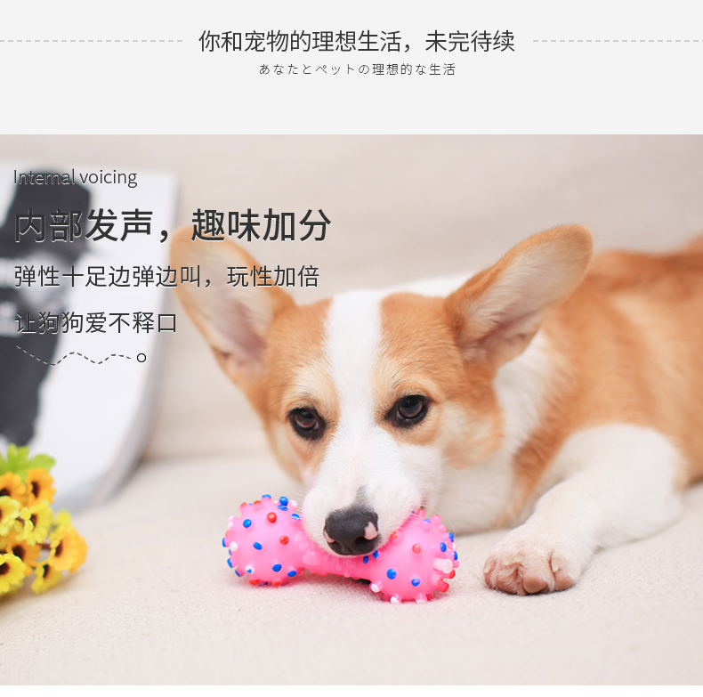 Hamate / Hamet cao su silicone chó đồ chơi mèo đồ chơi mol cắn cắn đồ chơi chó nhỏ và vừa đồ chơi cho thú cưng