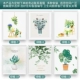 Водонепроницаем и нефть и масло [поддержка SF Custom Pattern] 12