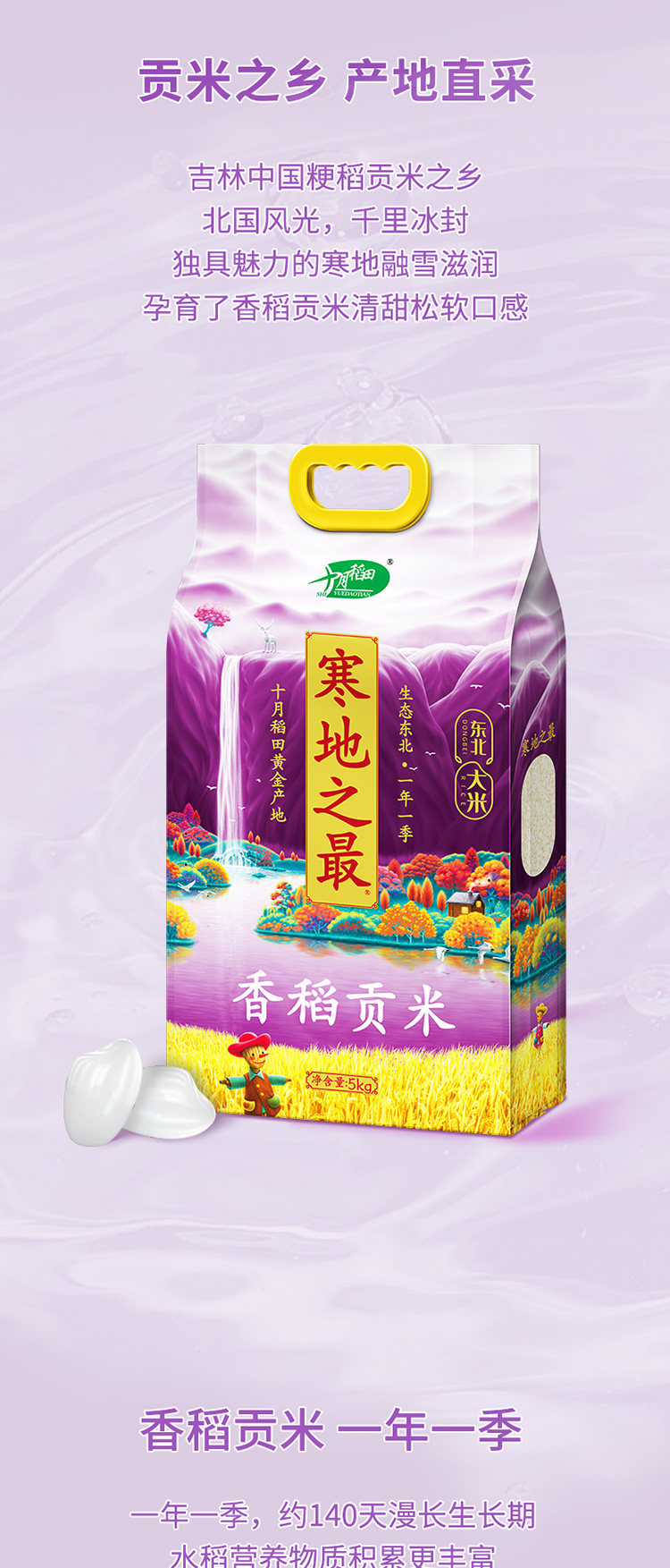 安享好物 安享D级粳米-十月稻田寒地之最香稻贡米 国标 