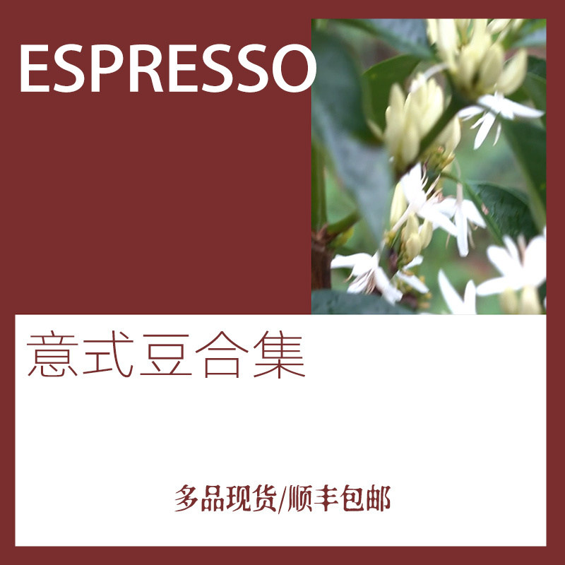 In Stock Italian Collection Espresso Concentrated Premium Italian Coffee Soe