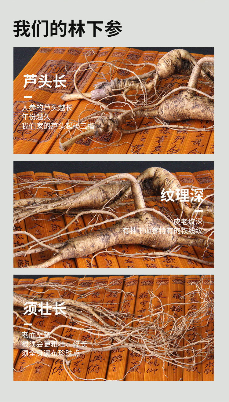 Gress Forest Ginseng 2_10.jpg