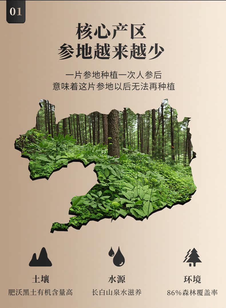 Детали лесного ginseng_04.jpg