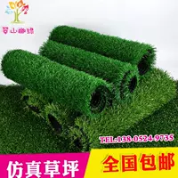 nhà máy mô phỏng cây cảnh quan hồ cá hồ cá mã hóa trang trí khâu cỏ sân cỏ giả thảm trong nhà - Thảm thảm nhung trải sàn