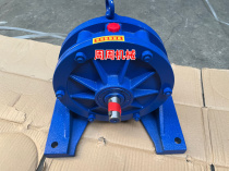 Cycloidal pinwheel reducer double shaft BW3 BW22-7-9-11-17-23-29-35-43-59-71-87