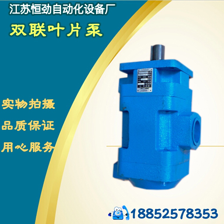 Hydraulic double vane pump YB1-6 10 YB1-25 4YB1-25 32 YB1-63 40YB1-80 100