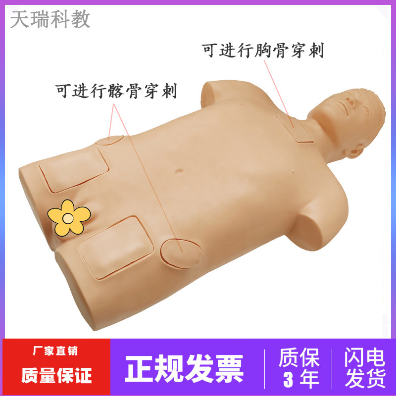 骨髓穿刺模型 骨髓穿刺模拟人 高级人体医学用穿刺术操作训练模型