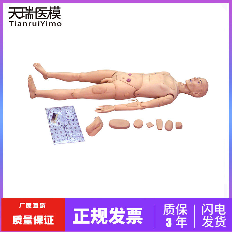 基础组合式护理人模型 男女性护理操作模拟人 医用护理训练假人体