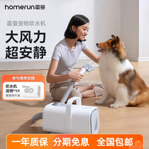 Hörmann pet water blower dog drying and hair drying machine automatic hair blowing machine for cats household bathing artifact mute