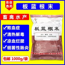 Veterinary MEDICINESHOG Banlangen loose plate blue root powder plate Blue root powder Livestock and poultry cold flu antiviral