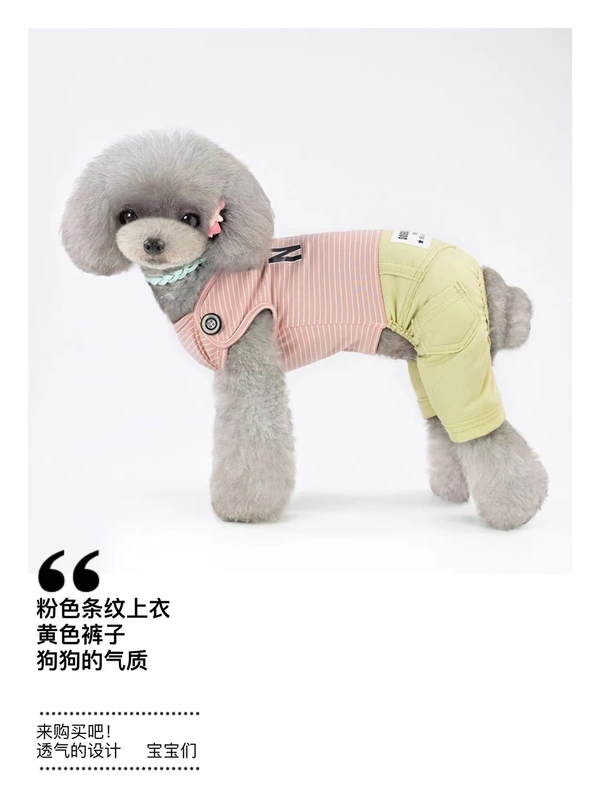 Pet mùa hè mới sọc chó bốn chân Teddy VIP hơn gấu nhỏ chó mèo jumpsuit quần áo - Quần áo & phụ kiện thú cưng