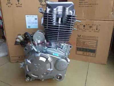 Brand new original Zongshen power three-wheeled locomotive CG125ZS150ZH200 air-cooled engine assembly nose