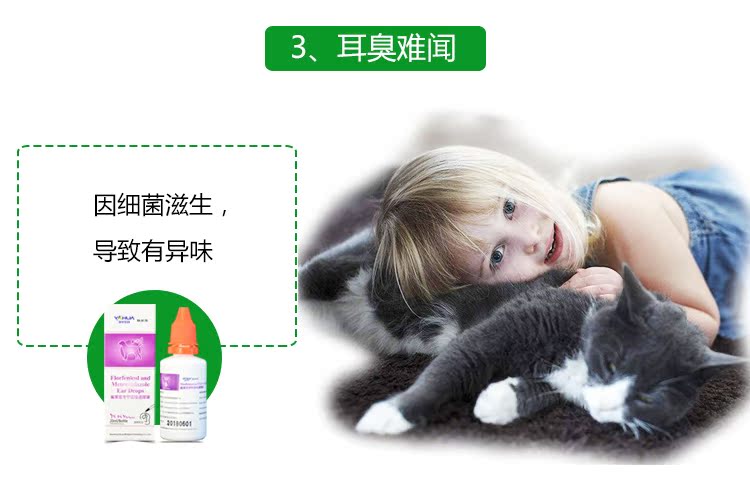 Pet dog tai tai điếc mèo mèo tai làm sạch chất lỏng viêm tai giữa chống viêm ngứa đi tai giọt dầu tai - Cat / Dog Medical Supplies 	các loại kim tiêm trong thú y	