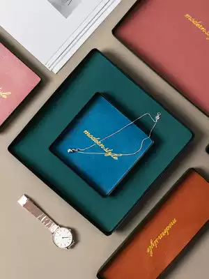 Morandi wrought iron leather tray Mini jewelry porch key plate Nordic INS decorative desktop storage tray