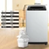 Máy giặt tự động Midea 6,5 ​​kg KG máy giặt nhỏ MB65V31 Máy giặt mini Máy giặt nhỏ - May giặt