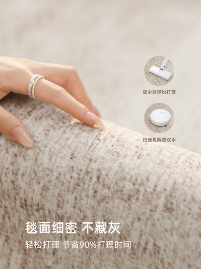 Carpet for Living Room 2025 New French Cream Style Bedroom Bedside Rug Home Easy-Care Large Area Full Coverage Floor Mat