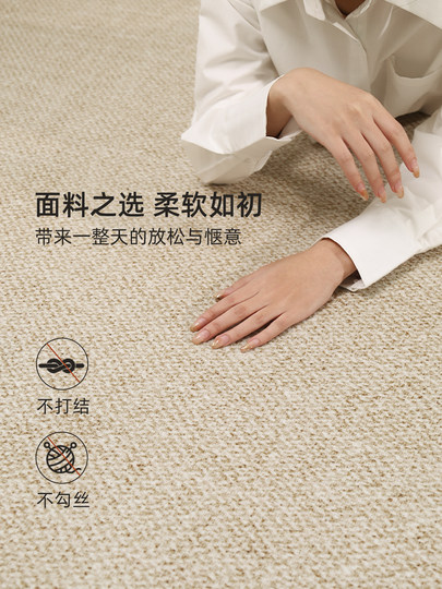 地毯客厅高级感2025新款免洗可擦卧室床边地垫纯色耐脏大面积全铺