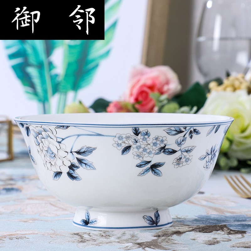 Propagated jingdezhen ceramic tableware home dishes suit to use bowls of ipads plate suit gift set