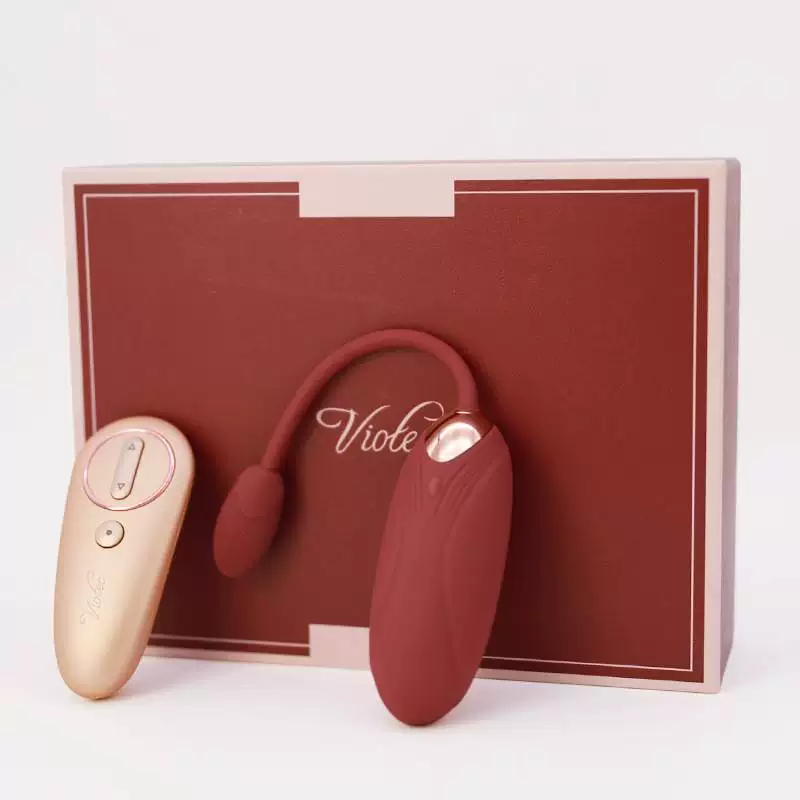 [Rechargeable Wireless Vibrator Panties Sex Toys for Women]