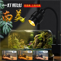 Fish tank ornamental lamp South American cylinder Spotlight Fish Tank Lamp Led Lamp Waterproof Stream Cylinder Light Water Grass Thunderdragon Fish Special Lamp