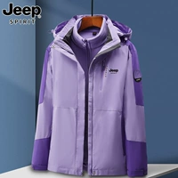 Женская гвоздика фиолетовая