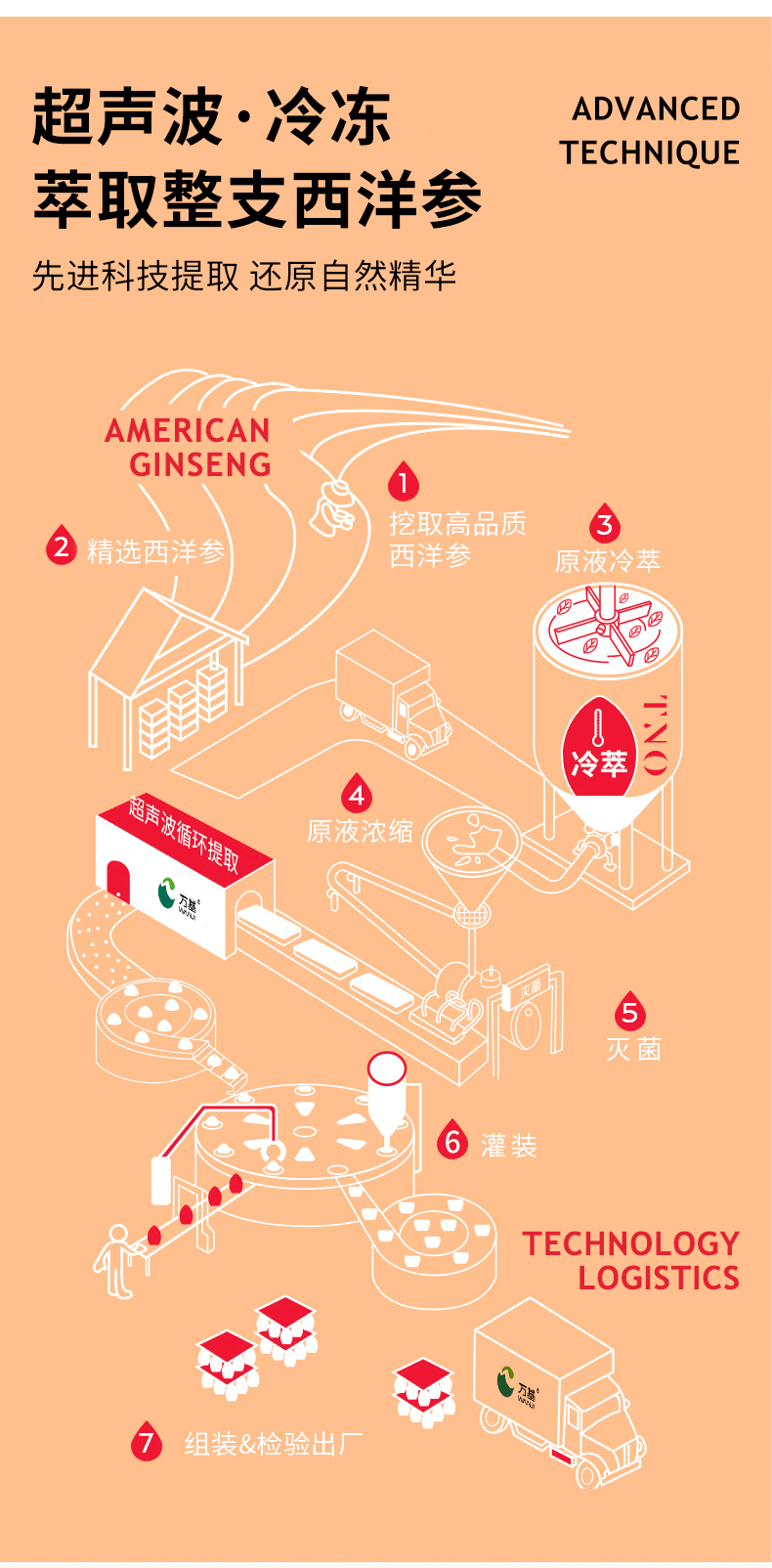 万基 西洋参口服液饮品 功能饮料 245ml*12瓶 抗疲劳补元气 图7