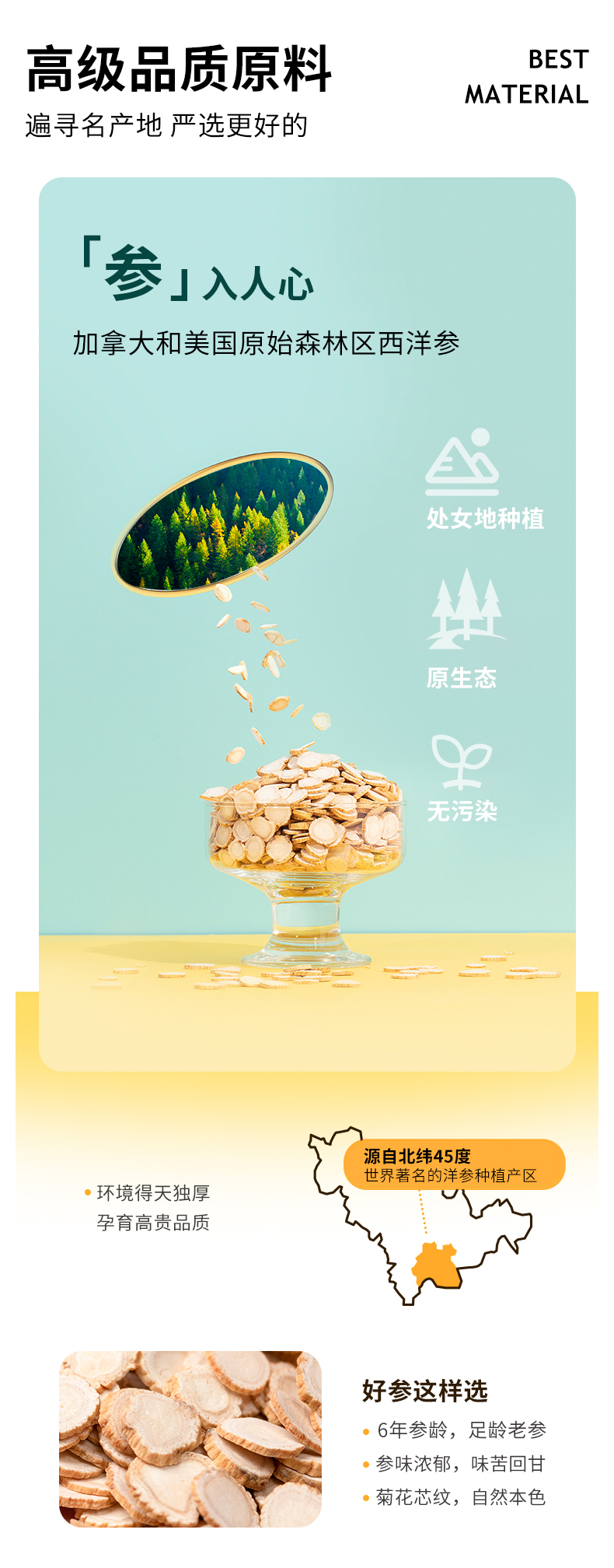 万基 西洋参口服液饮品 功能饮料 245ml*12瓶 抗疲劳补元气 图6