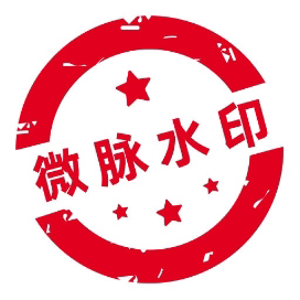 微脉水印相机会员24小时自动充值的LOGO