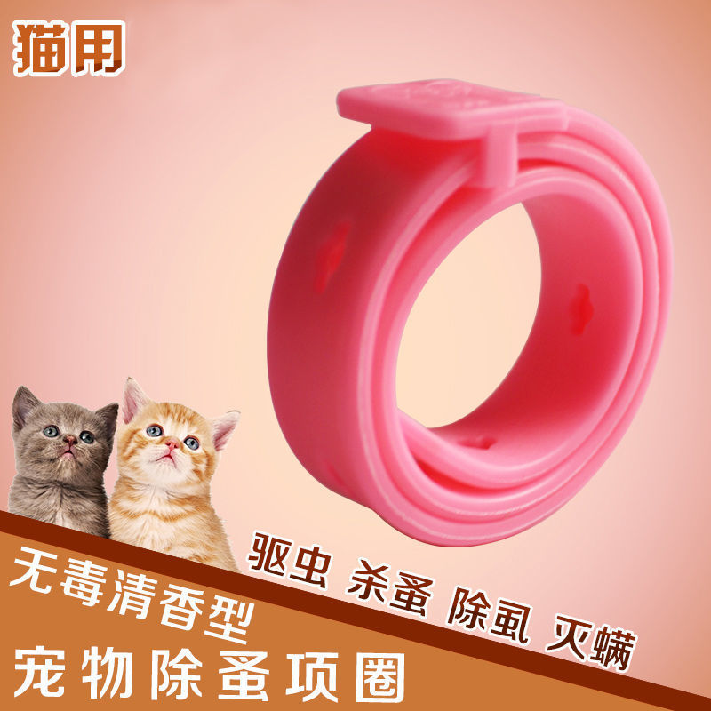 Cat ring dog ring in addition to fleas and lice