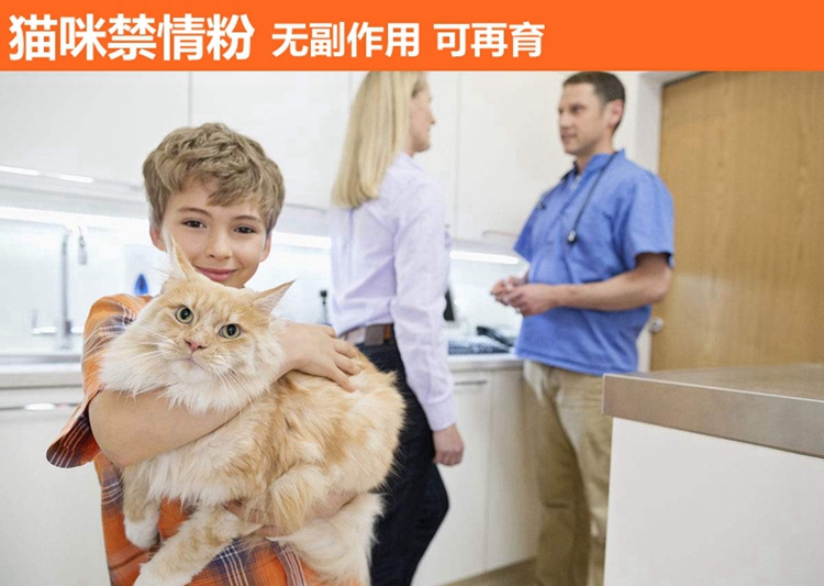 Bột ức chế mèo mẹ ức chế mèo và nỗi buồn ức chế thuốc động dục 喵 mèo bị cấm bột muốn mèo đực bị cấm - Cat / Dog Health bổ sung Sữa cho mèo con giá bảo nhiều