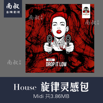 Vandalism Drop It Low House Inspired Melody MIDI File Electroacoustic Arranger Sampling package