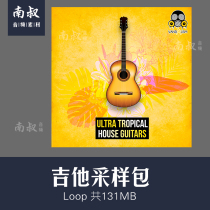 Vandalism Ultra Tropicical House Guitars Guitar Real Record Sampling curvy material